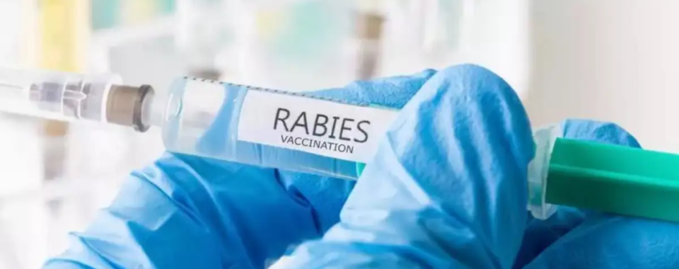 Industrywiz Daily updates