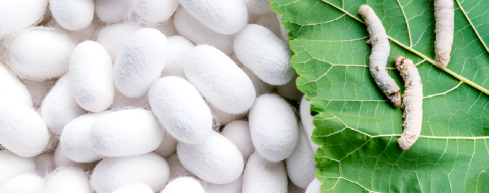 Industrywiz Daily updates