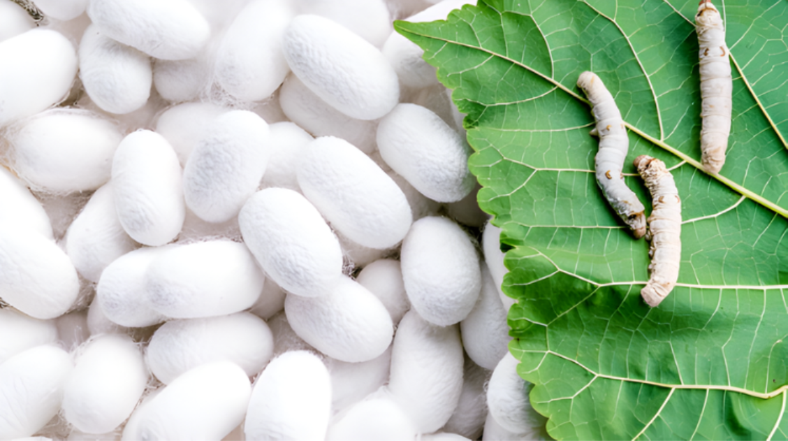 Industrywiz Daily updates