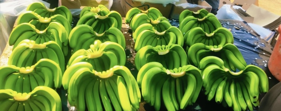 Industrywiz Daily updates