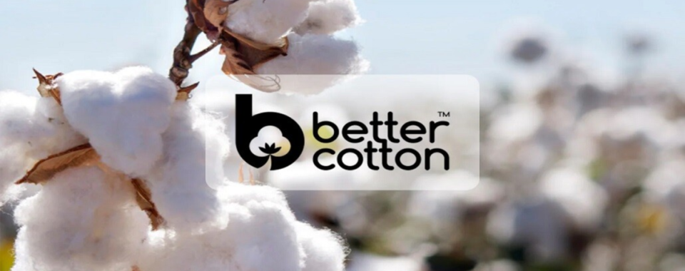 Industrywiz Daily updates