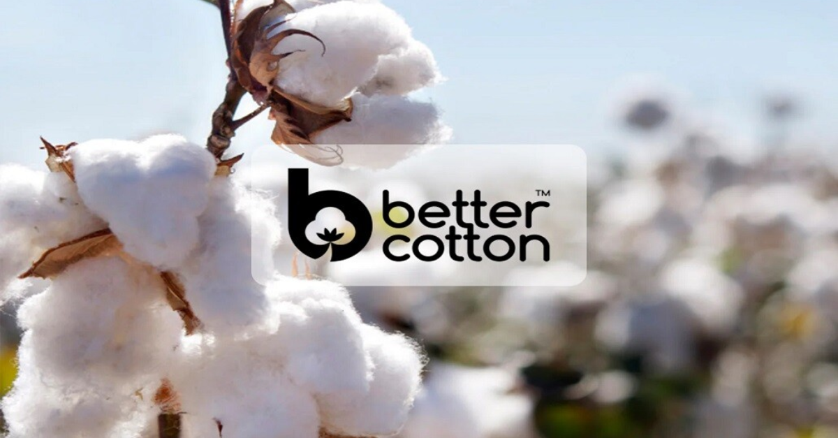 Industrywiz Daily updates