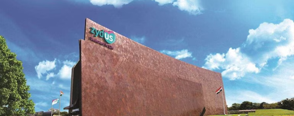 Industrywiz Daily updates