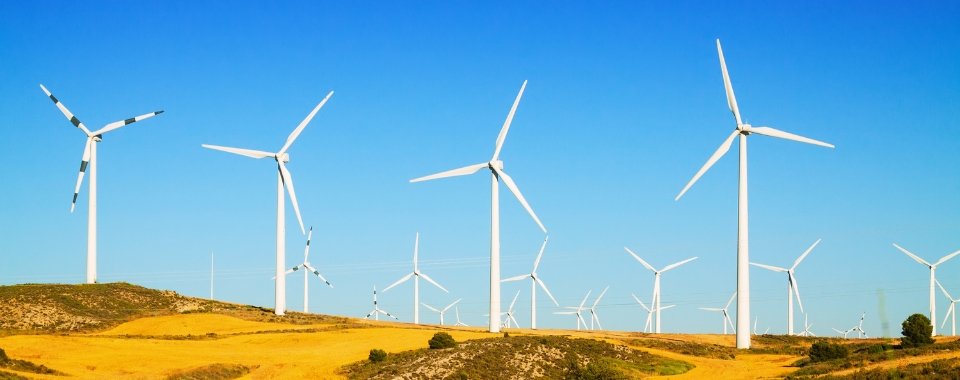 Industrywiz Daily updates