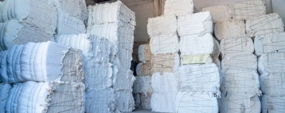 Industrywiz Daily updates