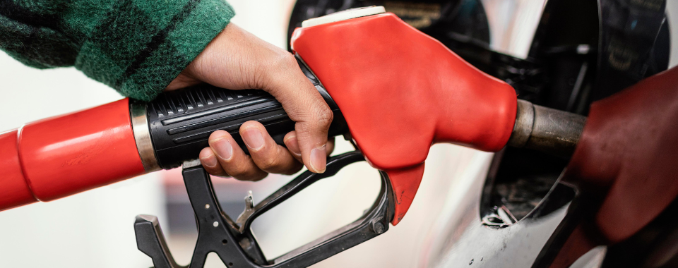 Industrywiz Daily updates