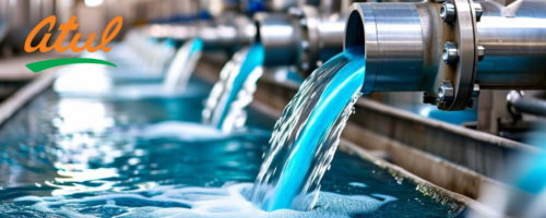 Industrywiz Daily updates