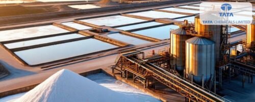 Industrywiz Daily updates