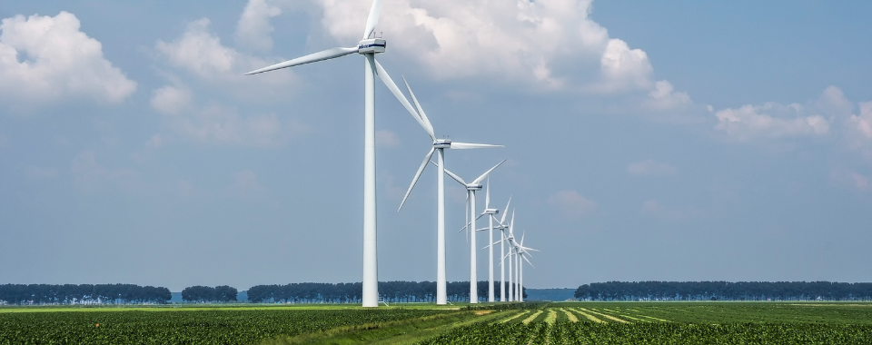 Industrywiz Daily updates