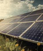 NTPC Green Energy Adds 165 MW Solar, Boosting Renewables to 9727 MW.