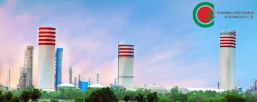 Industrywiz Daily updates